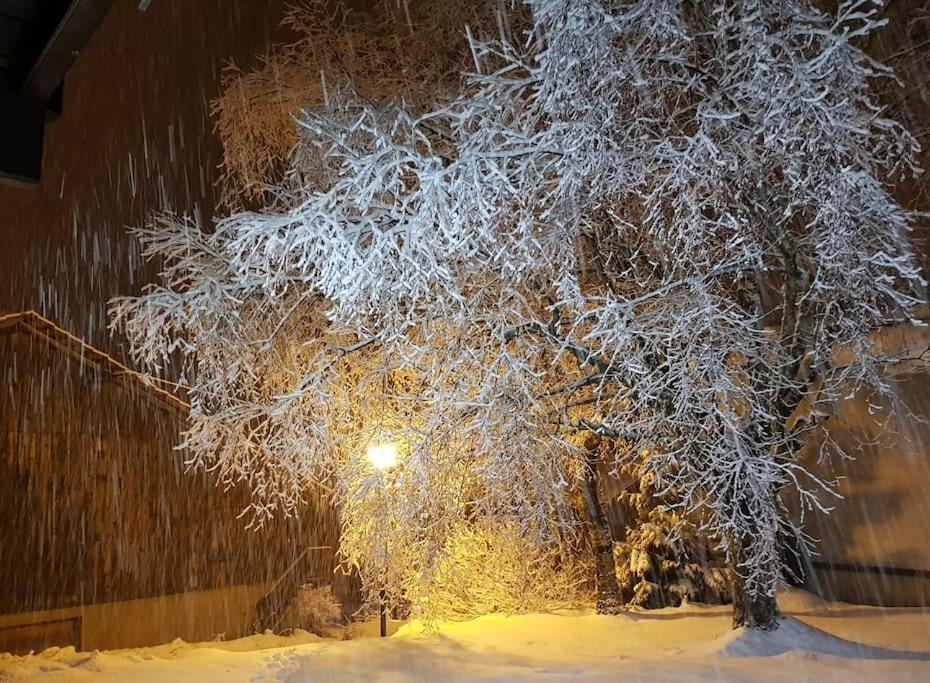 A Cordon Entre Bois Et Nature Екстериор снимка